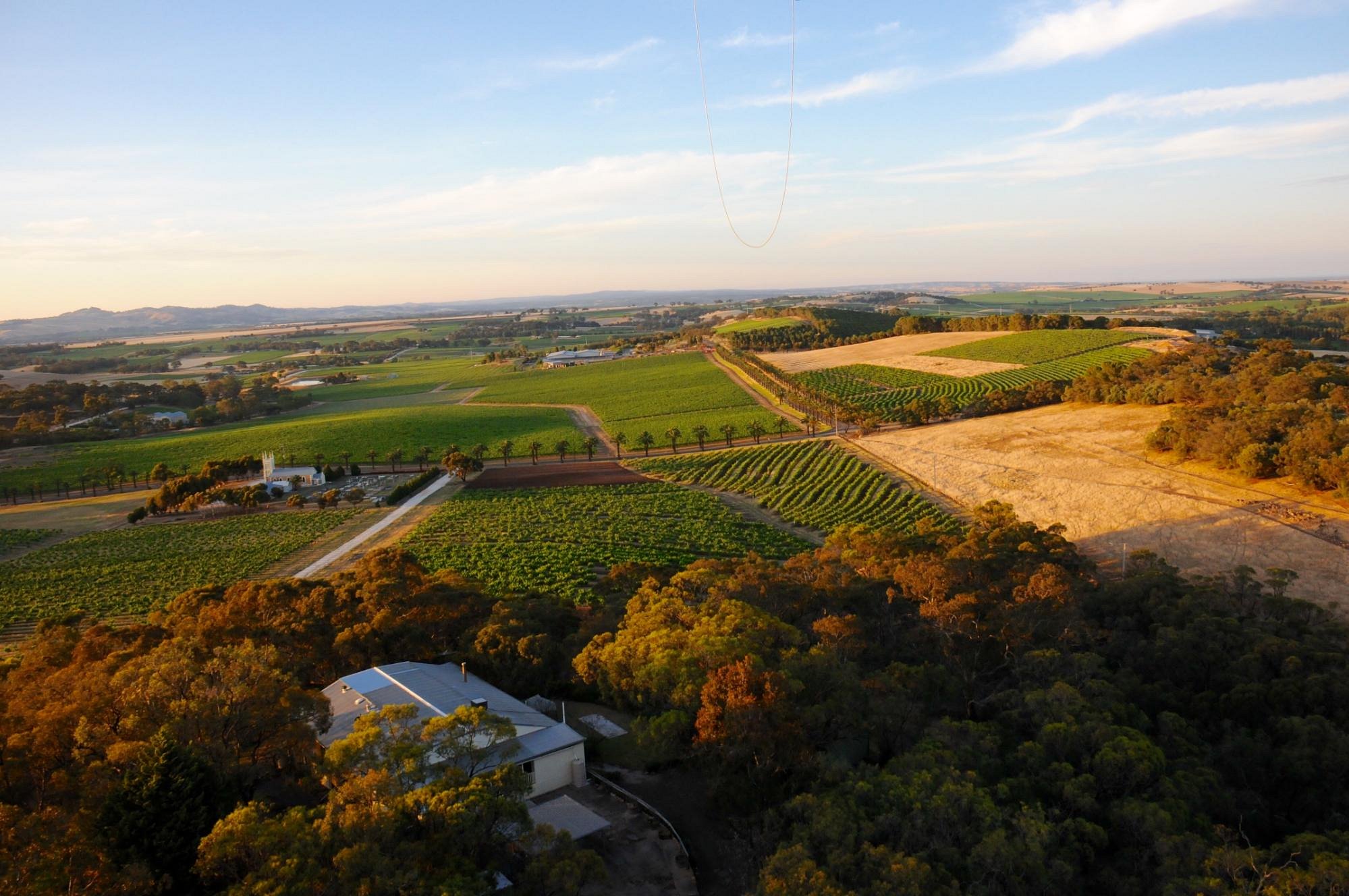 barossa-balloon-adventures