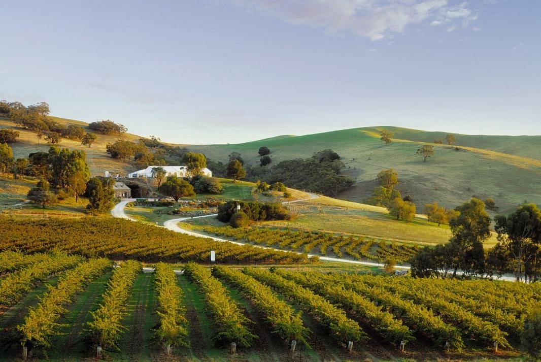 bethany-wines